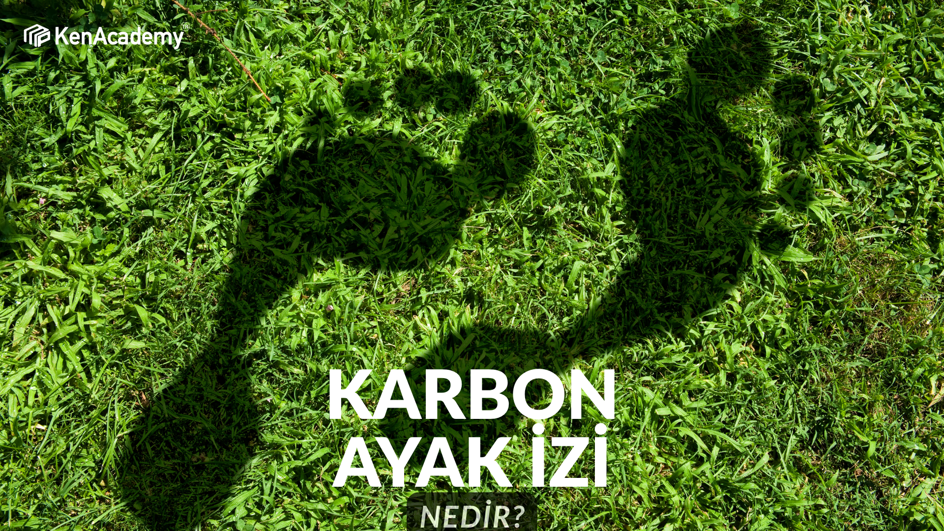 Karbon Ayak İzi Nedir?