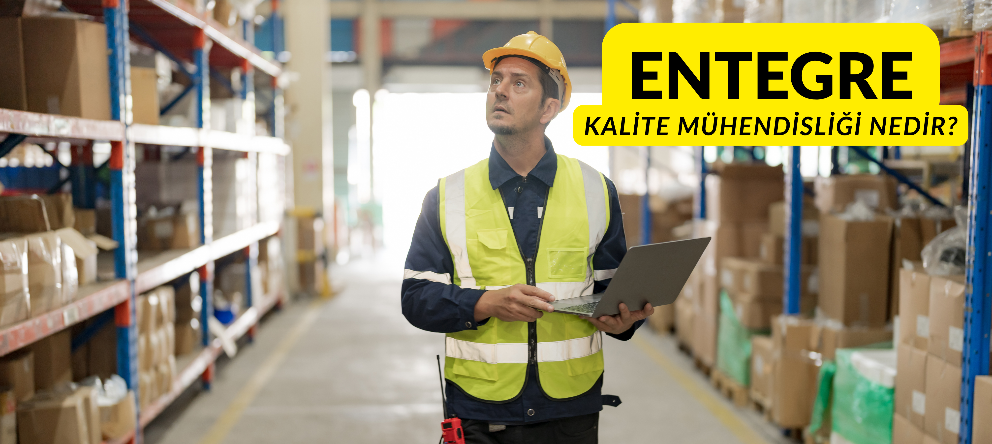 Entegre Kalite Mühendisliği Nedir?